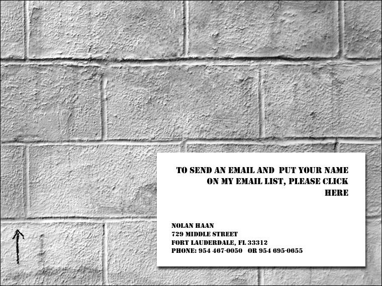 contact Nolan Haan