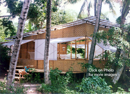Bamboo dreamhouse